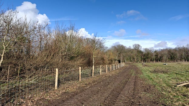 Image of a line of new stock fencing with hedging layered along the fence on a fine day with blue sky and puffy clouds
